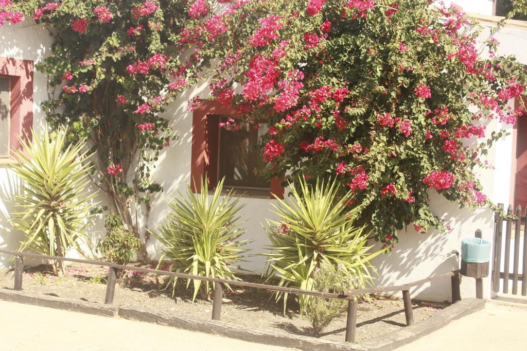Molino El Mastral Apartamento Tarifa Exterior foto