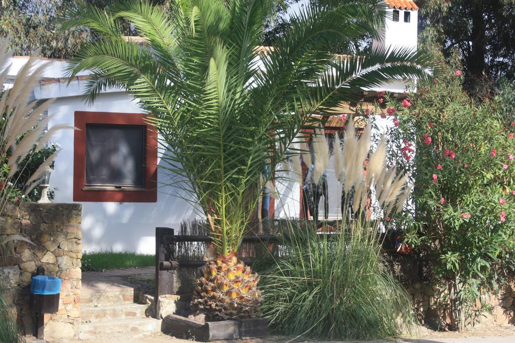 Molino El Mastral Apartamento Tarifa Exterior foto