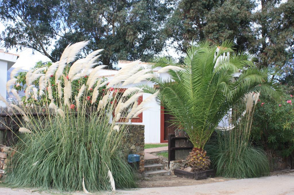 Molino El Mastral Apartamento Tarifa Exterior foto